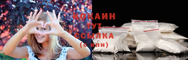 индика Абинск