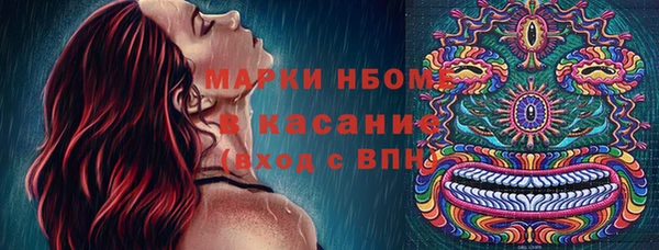 индика Абинск