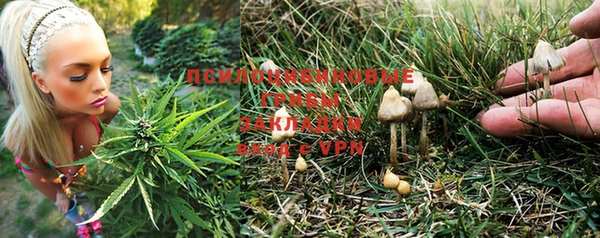 марки lsd Алзамай