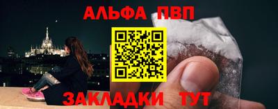 индика Можга