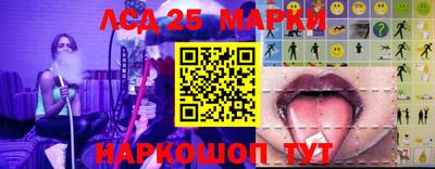 индика Можга