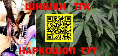 индика Можга
