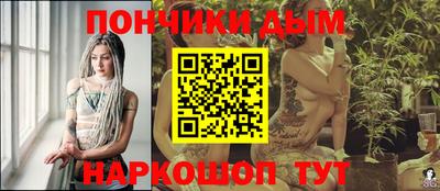 индика Можга