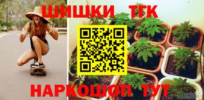 индика Можга