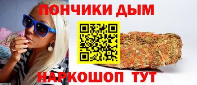 индика Можга
