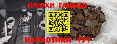 индика Можга