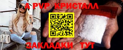 индика Можга
