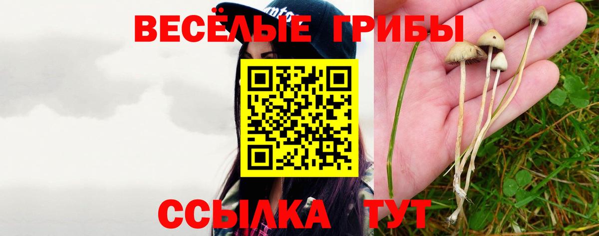 Истра  Галлюциногенные грибы Psilocybine cubensis  Вход с VPN 