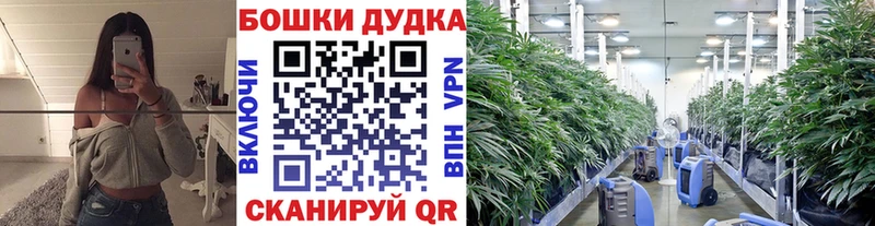 Конопля конопля  гидра маркетплейс  Истра 